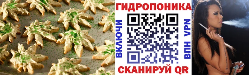 Купить закладки  Питкяранта  Печенье с ТГК марихуана 