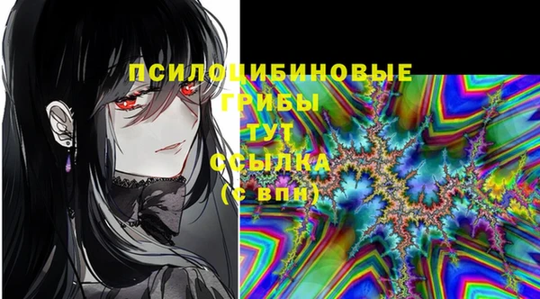 apvp Вязьма