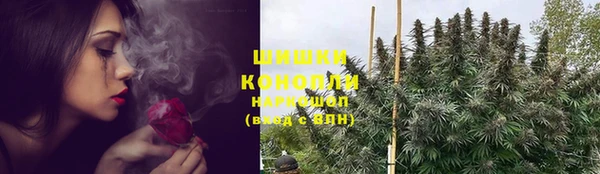 apvp Вязьма