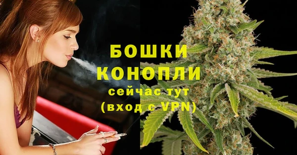 Альфа ПВП Вяземский