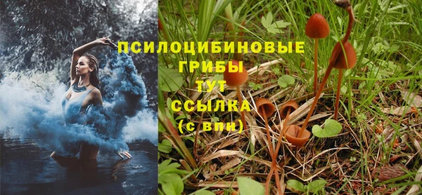 ALPHA PVP Вязники