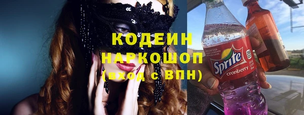 apvp Вязьма