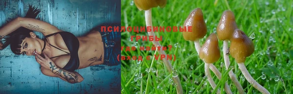 Альфа ПВП Вяземский