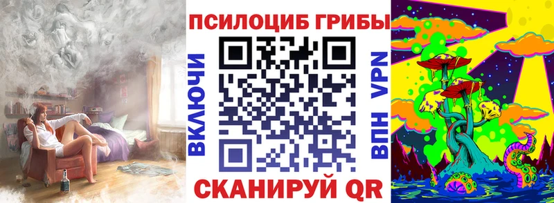 Псилоцибиновые грибы MAGIC MUSHROOMS  Купить закладки  Питкяранта 